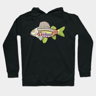 Colorful Fish Anatomy Illustration Hoodie